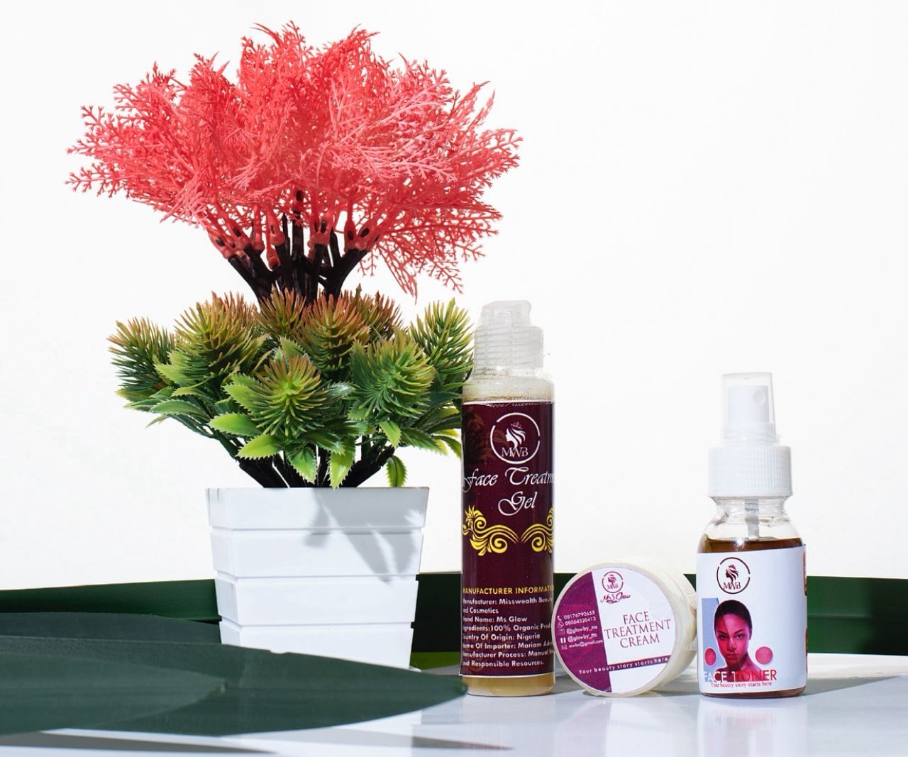 face treatment set (with face wash)